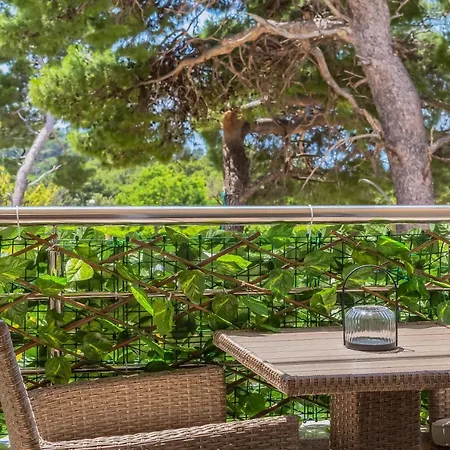 Indigo * 마카르스카